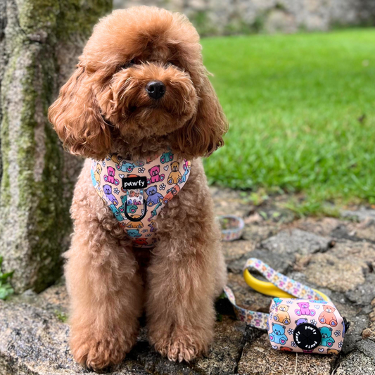 Bears Adjustable Harness