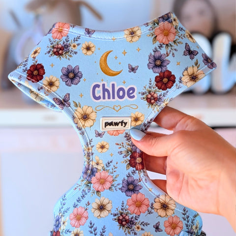 Arneses personalizados para perros Pawfy
