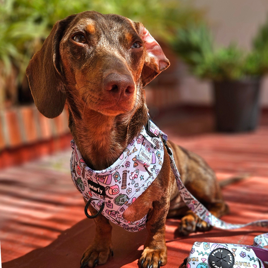 Adjustable Travel Harness