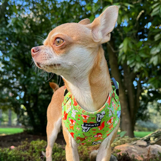 Cute Forest Adjustable Harness