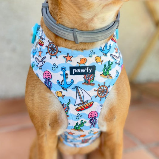 Sailor Adjustable Harness