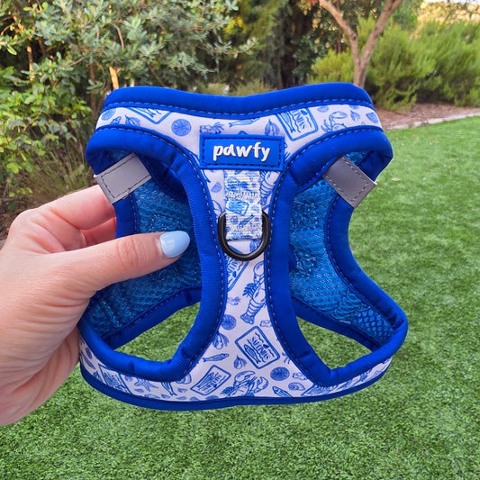 Vichy Body Harness