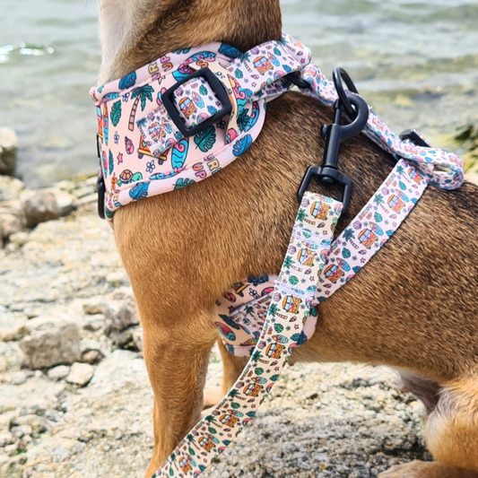 Adjustable Surf Harness