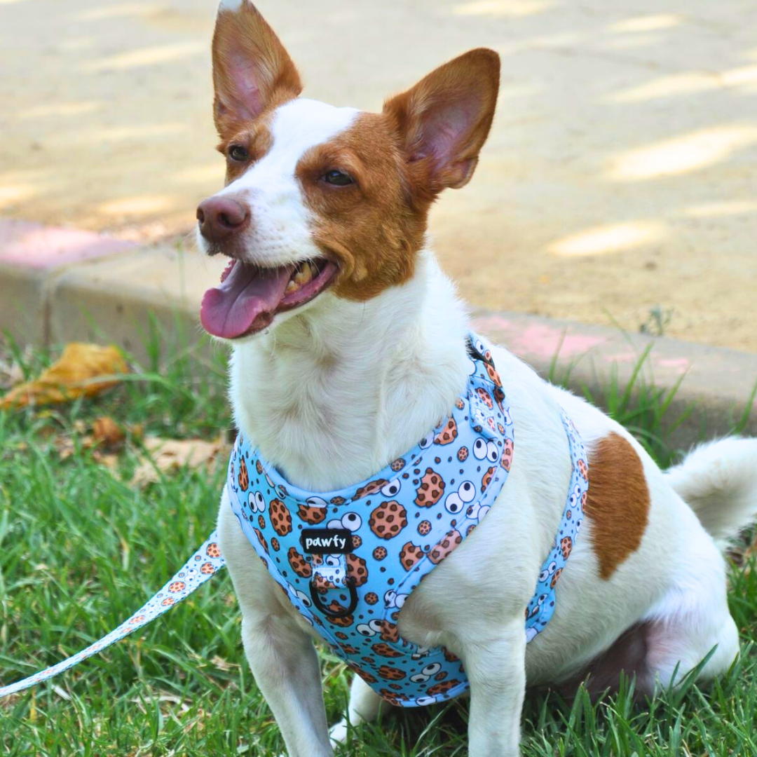 Adjustable Cookies Harness