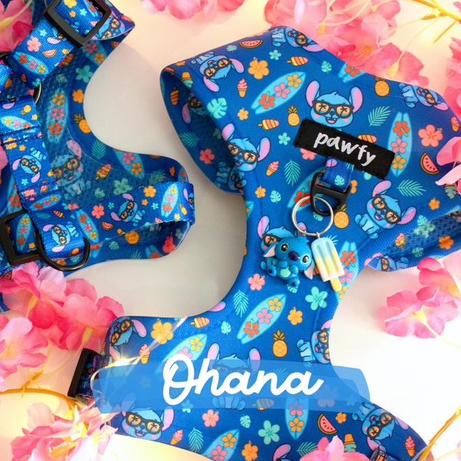 Ohana