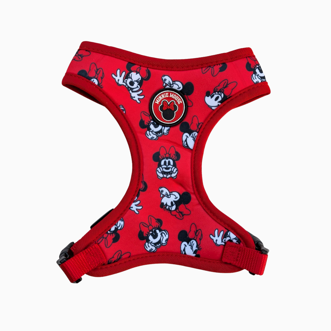 Arnés Ajustable Disney Minnie 💖