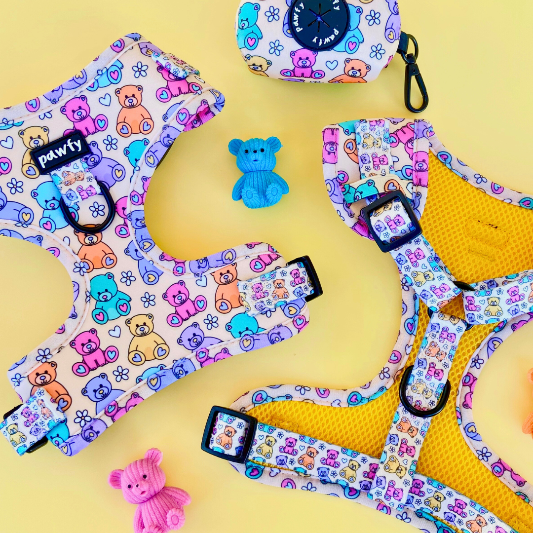 Arnés Ajustable Bears (última unidad)