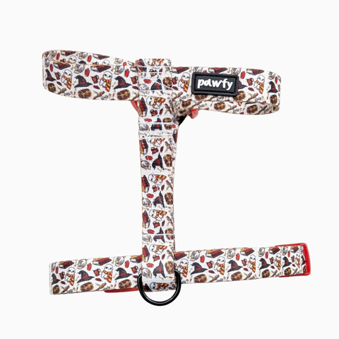 Arnés Clásico Magic