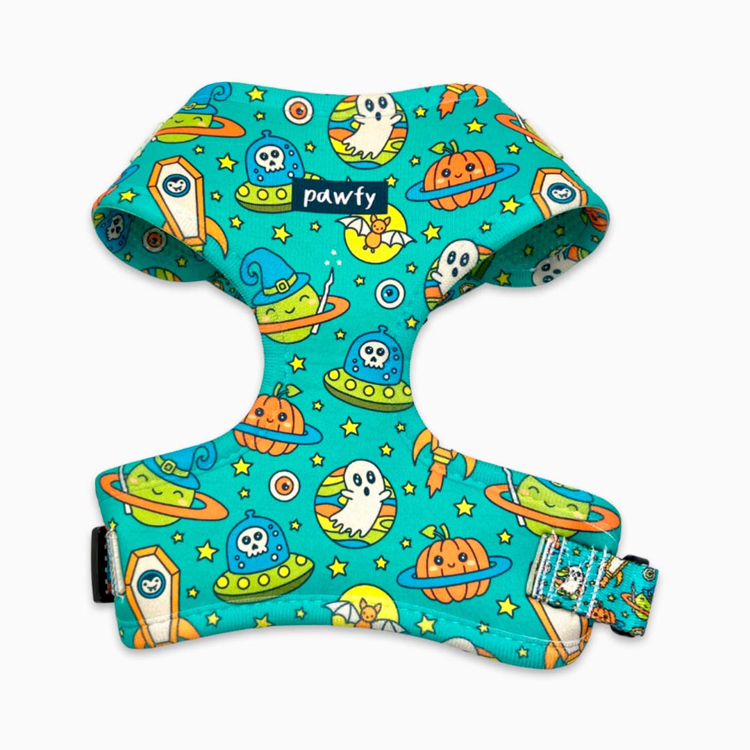 Pack Halloween Arnés Ajustable + Correa + Portabolsas