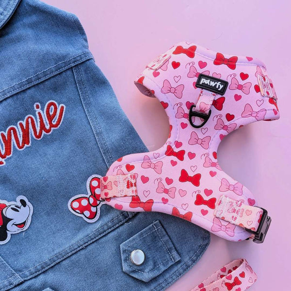 Arnés Ajustable Lovely Bows 🎀💕