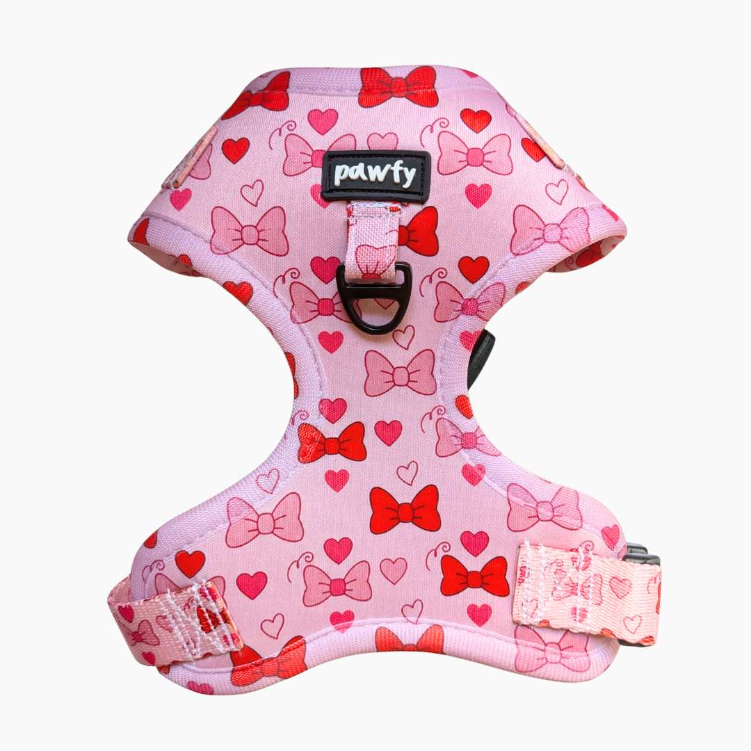 Arnés Ajustable Lovely Bows 🎀💕