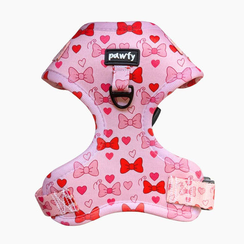 Arnés Ajustable Lovely Bows 🎀💕