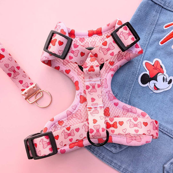 Arnés Ajustable Lovely Bows 🎀💕