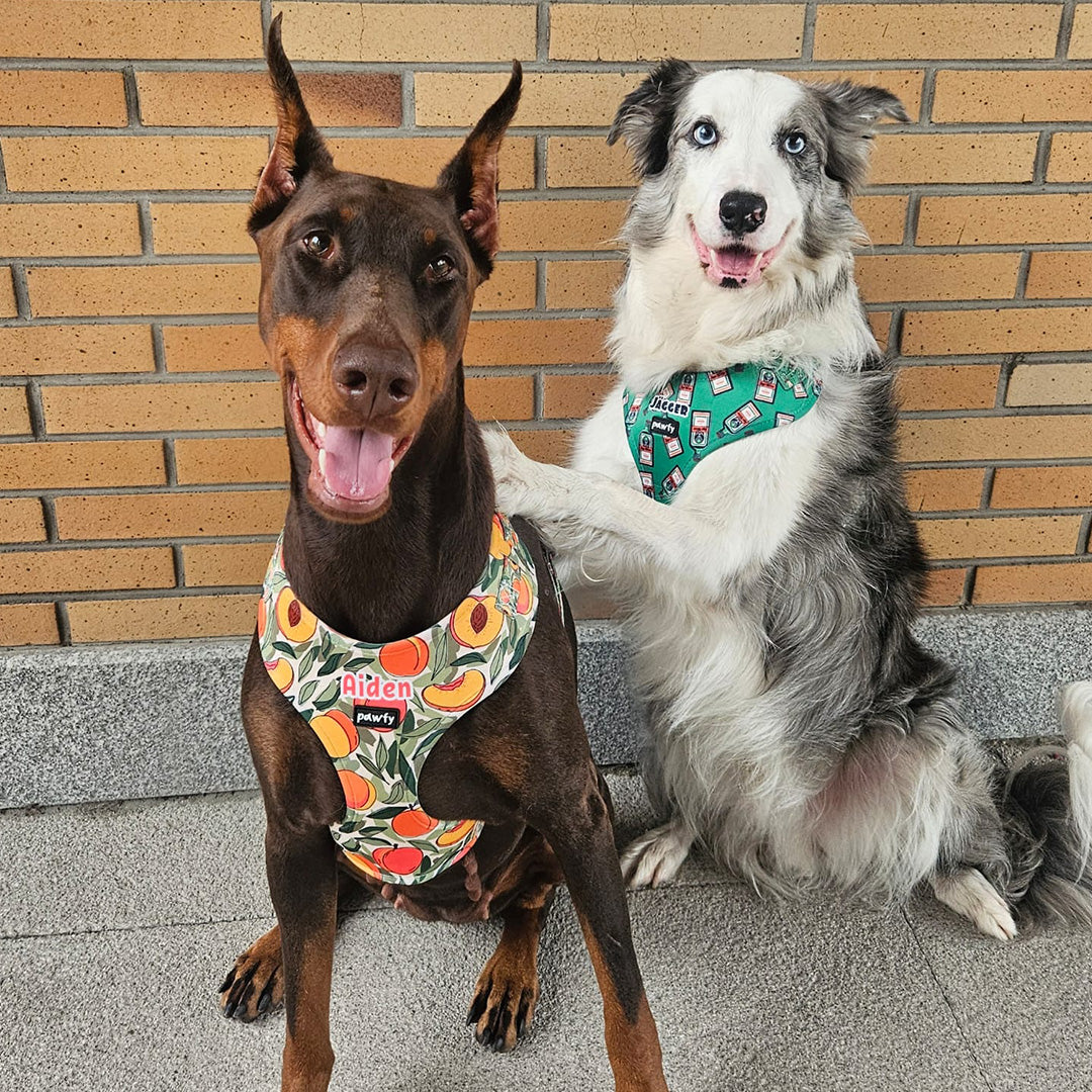 100% Custom Adjustable Harness