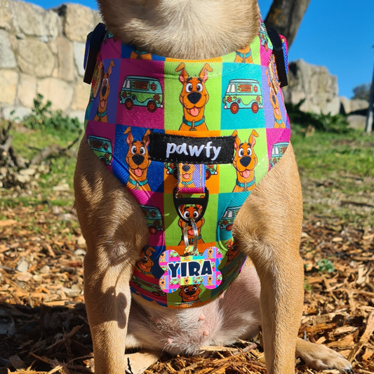 Adjustable Doo-dog Harness