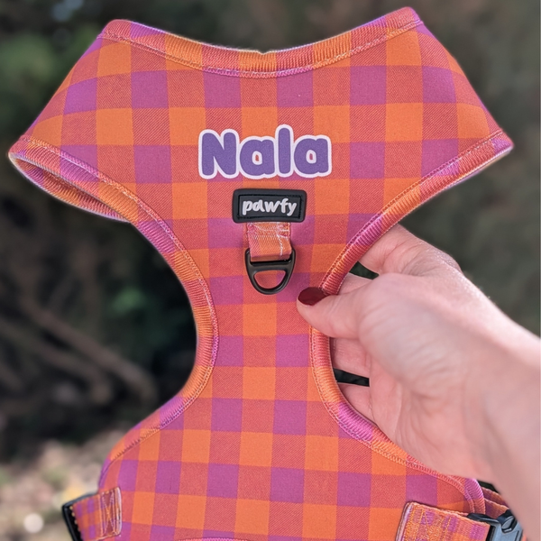 Arnés Ajustable Vichy Pop Pink