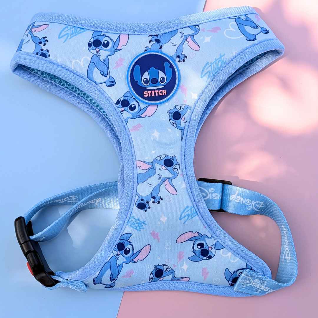 Arnés Ajustable Stitch + Correa