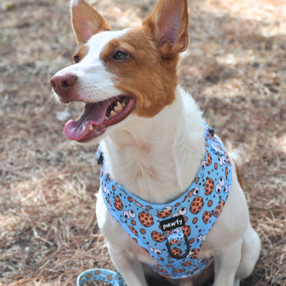 Adjustable Cookies Harness
