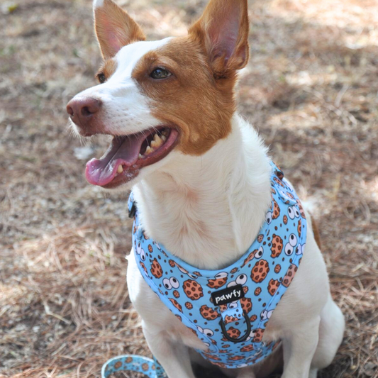 Adjustable Cookies Harness