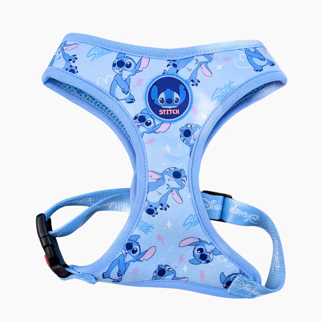 Arnés Ajustable Stitch + Correa