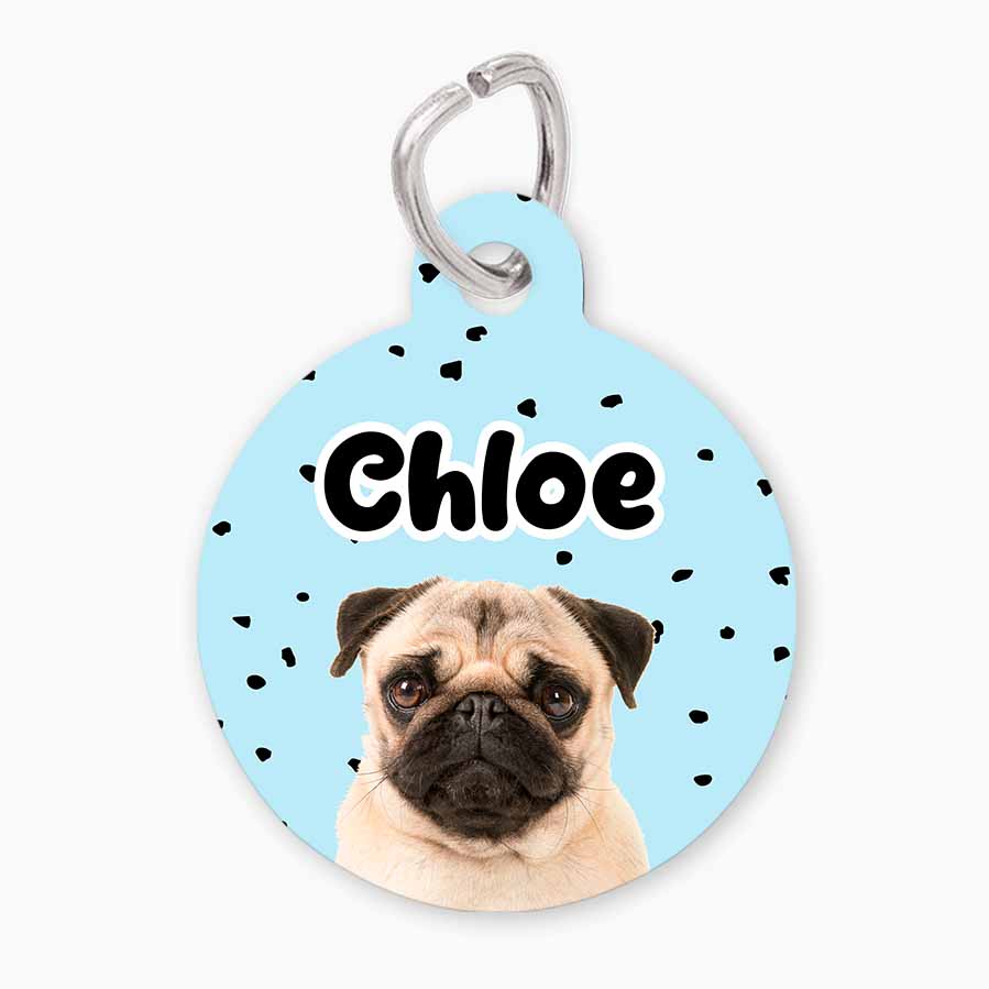 Chapa con Foto Mascota