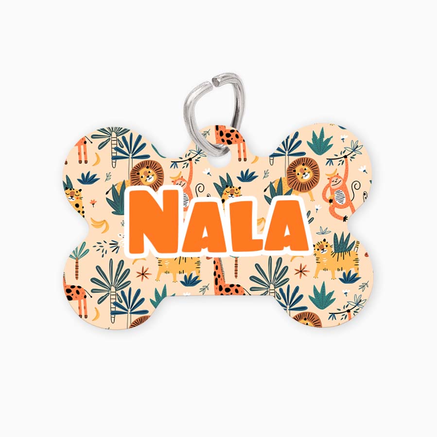 Chapa Safari