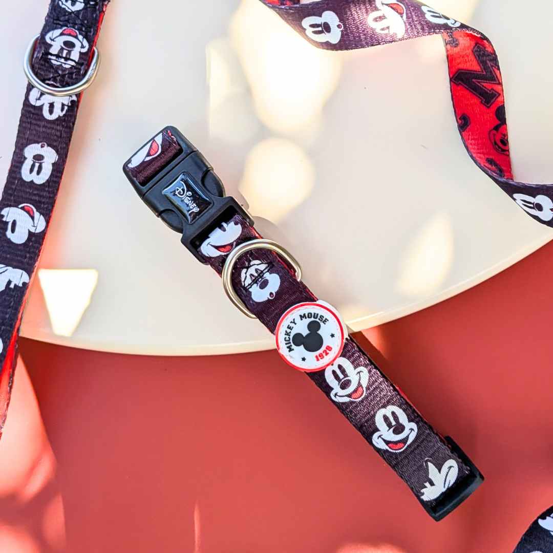 Collar Mickey + Correa