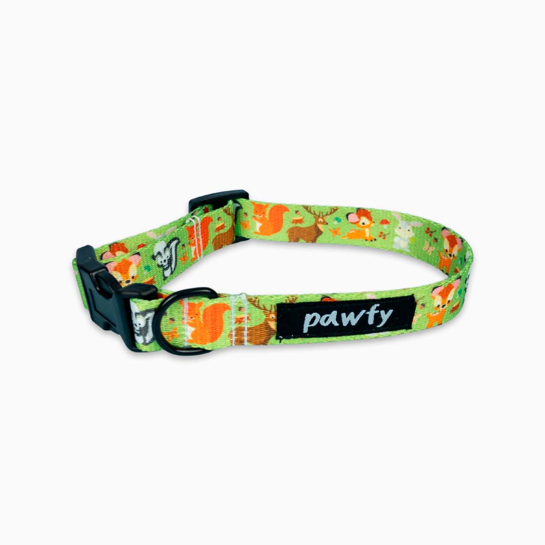 Cute Forest Collar