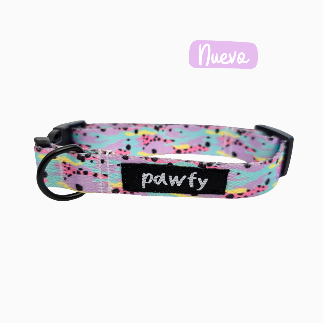 Collar Purple