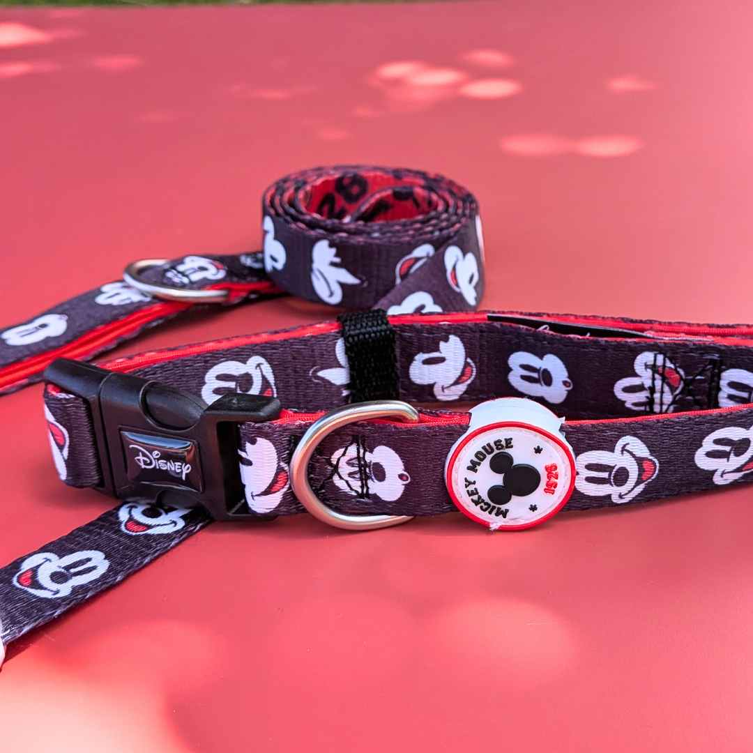 Collar Mickey + Correa