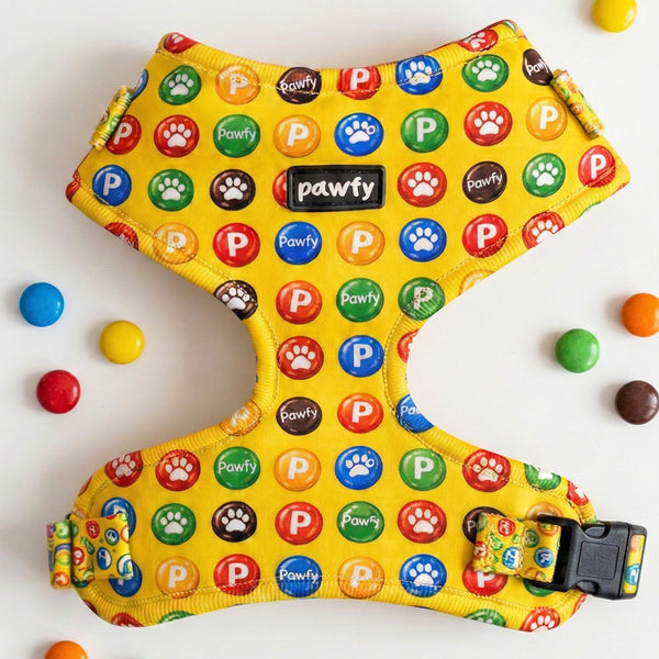 Arnés Ajustable Choco Buttons 💛