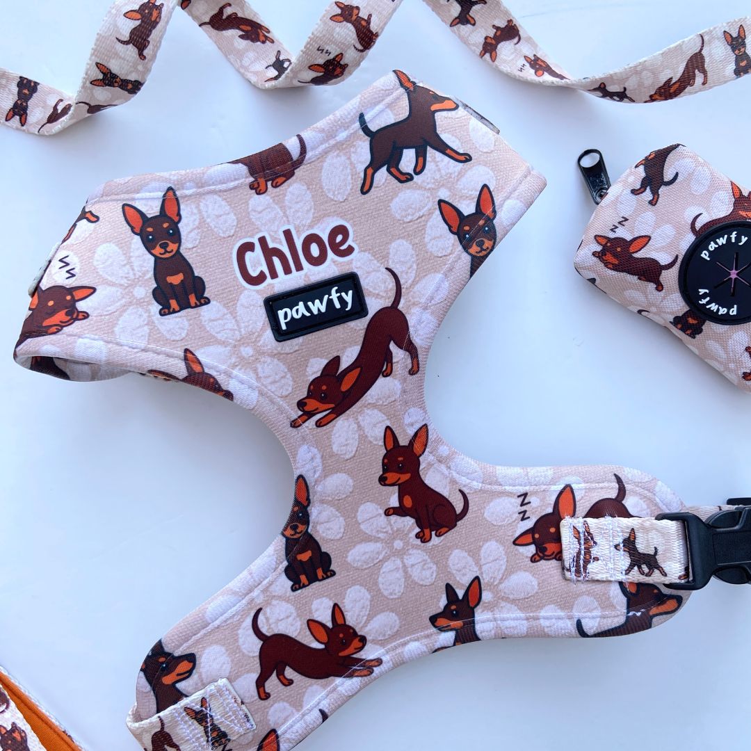 100% Custom Adjustable Harness