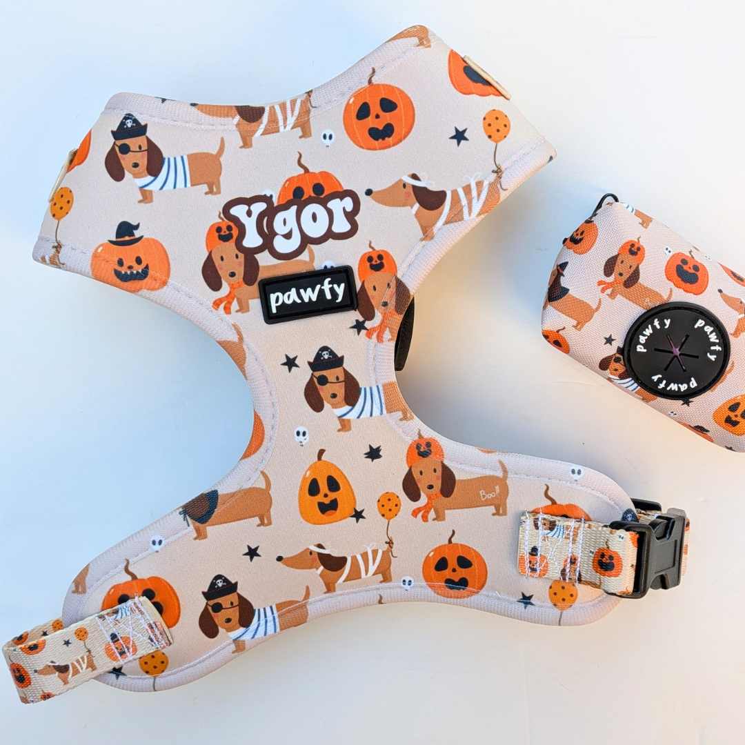 100% Custom Adjustable Harness