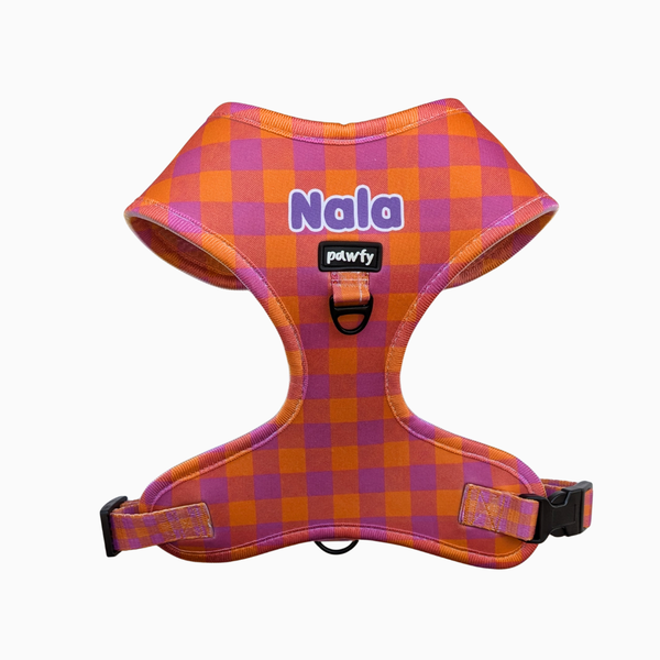 Arnés Ajustable Vichy Pop Pink