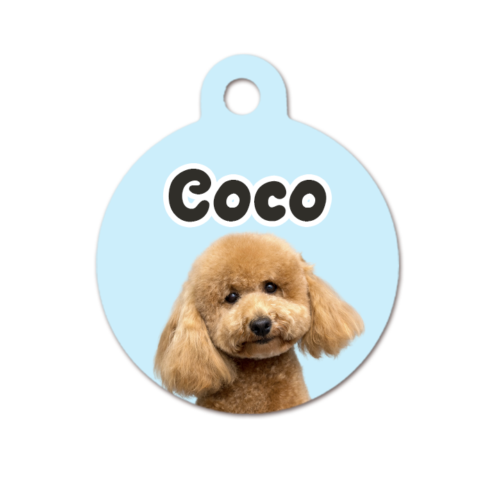 Chapa con Foto Mascota
